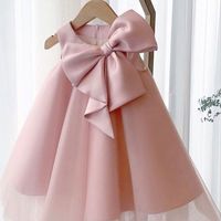 Princesse Couleur Unie Polyester Filles Robes main image 5