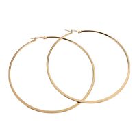 1 Pair Simple Style Solid Color Plating Stainless Steel Hoop Earrings main image 2