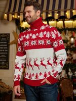 Fashion Christmas Tree Polyester Turtleneck Long Sleeve Regular Sleeve Jacquard Sweater sku image 14