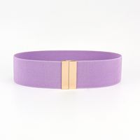 Simple Style Solid Color Alloy Elastic Band Woven Belt Women's Woven Belts sku image 11