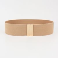 Simple Style Solid Color Alloy Elastic Band Woven Belt Women's Woven Belts sku image 2
