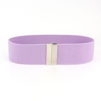 Simple Style Solid Color Alloy Elastic Band Woven Belt Women's Woven Belts sku image 14
