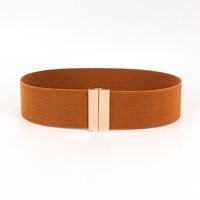 Simple Style Solid Color Alloy Elastic Band Woven Belt Women's Woven Belts sku image 4