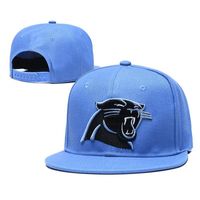 Unisex Fashion Animal Football Team Baseball Cap sku image 31