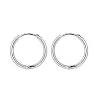 Simple Style Geometric Stainless Steel Hoop Earrings 1 Piece main image 3