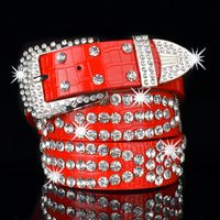 Cool Style Leopard Pu Leather Alloy Inlay Rhinestones Women's Leather Belts 1 Piece sku image 1