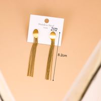 Simple Style Tassel Stainless Steel Tassel Gold Plated Drop Earrings 1 Pair main image 2