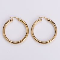 Simple Style Geometric Polishing Stainless Steel No Inlaid 18K Gold Plated Earrings sku image 4