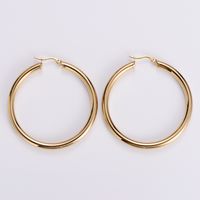 Simple Style Geometric Polishing Stainless Steel No Inlaid 18K Gold Plated Earrings sku image 5