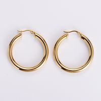 Simple Style Geometric Polishing Stainless Steel No Inlaid 18K Gold Plated Earrings sku image 3