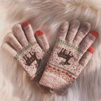 Women's Fashion Elk Acetate Fibre Gloves 1 Pair main image 4