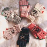 Women's Fashion Elk Acetate Fibre Gloves 1 Pair main image 2