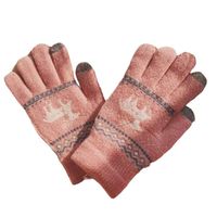 Women's Fashion Elk Acetate Fibre Gloves 1 Pair main image 5