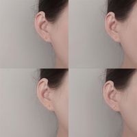 Simple Style Round Heart Shape Flower Silver Plated Women's Ear Studs 1 Pair main image 2