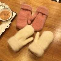 Women's Fashion Solid Color Imitation Mink Fleece Gloves 1 Pair main image 3