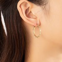 Fashion Geometric Alloy Plating Women's Earrings 1 Pair main image 1