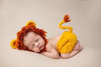 Children Unisex Basic Animal Pleated Baby Hat sku image 1