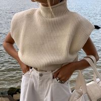 British Style Solid Color Spandex Turtleneck Sleeveless Regular Sleeve Patchwork Sweater main image 2
