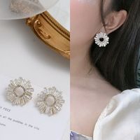 Simple Style Printing Metal Plating Rhinestones Women's Earrings 1 Pair sku image 7