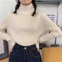 Vintage Style Solid Color Knit Turtleneck Long Sleeve Regular Sleeve Patchwork Knitwear sku image 2