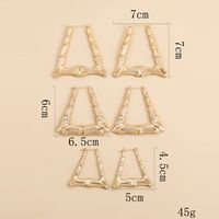 Basic Trapezoid Alloy Plating Women's Earrings 1 Pair main image 5