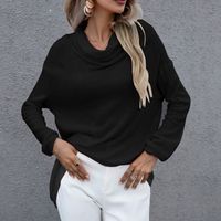 Fashion Solid Color Knitted Fabric Turtleneck Long Sleeve Regular Sleeve Sweater sku image 7