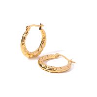 Fashion Geometric Stainless Steel Gold Plated Hoop Earrings 1 Pair main image 4