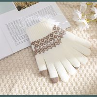 Women's Retro Geometric Imitation Cashmere Gloves 1 Pair main image 5