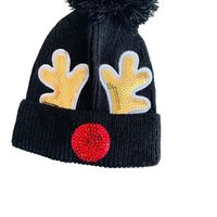 Children Unisex Cute Antlers Embroidery Wool Cap main image 4