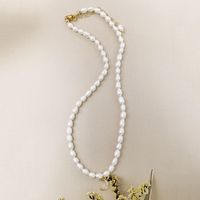 Simple Style Geometric Leaf Smiley Face Alloy Pearl Necklace 1 Piece sku image 34
