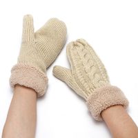 Unisex Simple Style Solid Color Polyacrylonitrile Fiber Gloves 1 Pair main image 2