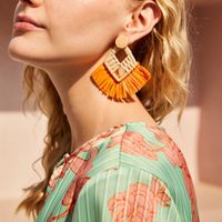 1 Pair Ethnic Style Tassel Braid Raffia Drop Earrings main image 6