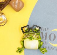 Cartoon Style Frog Alloy Enamel Inlay Artificial Gemstones Unisex Brooches sku image 1