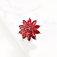 Classic Style Snowflake Alloy Inlay Artificial Crystal Women's Brooches 1 Piece main image 2