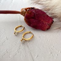 Lady Geometric Titanium Steel Gold Plated Zircon Earrings 1 Pair main image 5
