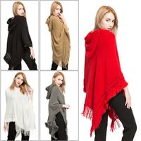 Women's Streetwear Solid Color Imitation Cashmere Tassel Shawls main image 1