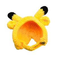 Cute Acrylic Frog Patchwork Pet Hat 1 Piece main image 3