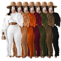 Women's Streetwear Solid Color Polyester Tassel Pants Sets main image 6