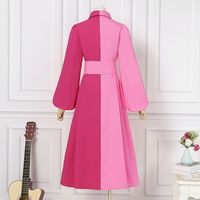 Women's Shirt Dress Fashion Turndown Patchwork Long Sleeve Color Block Maxi Long Dress Outdoor main image 4