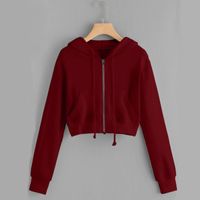 Mujeres Sudadera Manga Larga Sudaderas Con Capucha Y Sudaderas Labor De Retazos Casual Color Sólido sku image 16