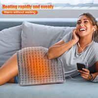 Electric Washable Insulation Body Physiotherapy Heating Mat main image 3