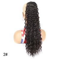 Women's Simple Style Holiday High Temperature Wire Long Curly Hair Wigs sku image 10