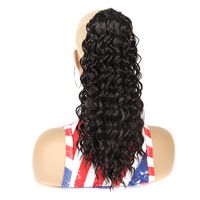 Women's Simple Style Holiday High Temperature Wire Long Curly Hair Wigs sku image 2