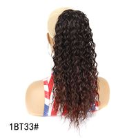 Women's Simple Style Holiday High Temperature Wire Long Curly Hair Wigs sku image 6