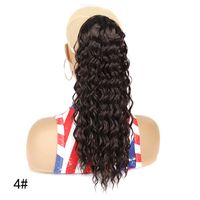 Women's Simple Style Holiday High Temperature Wire Long Curly Hair Wigs sku image 3
