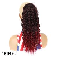 Women's Simple Style Holiday High Temperature Wire Long Curly Hair Wigs sku image 7