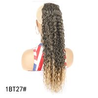Women's Simple Style Holiday High Temperature Wire Long Curly Hair Wigs sku image 12