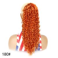 Women's Simple Style Holiday High Temperature Wire Long Curly Hair Wigs sku image 8