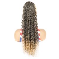 Women's Simple Style Holiday High Temperature Wire Long Curly Hair Wigs main image 2