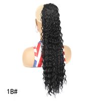 Women's Simple Style Holiday High Temperature Wire Long Curly Hair Wigs sku image 9